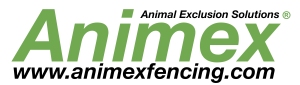 animex logo proper